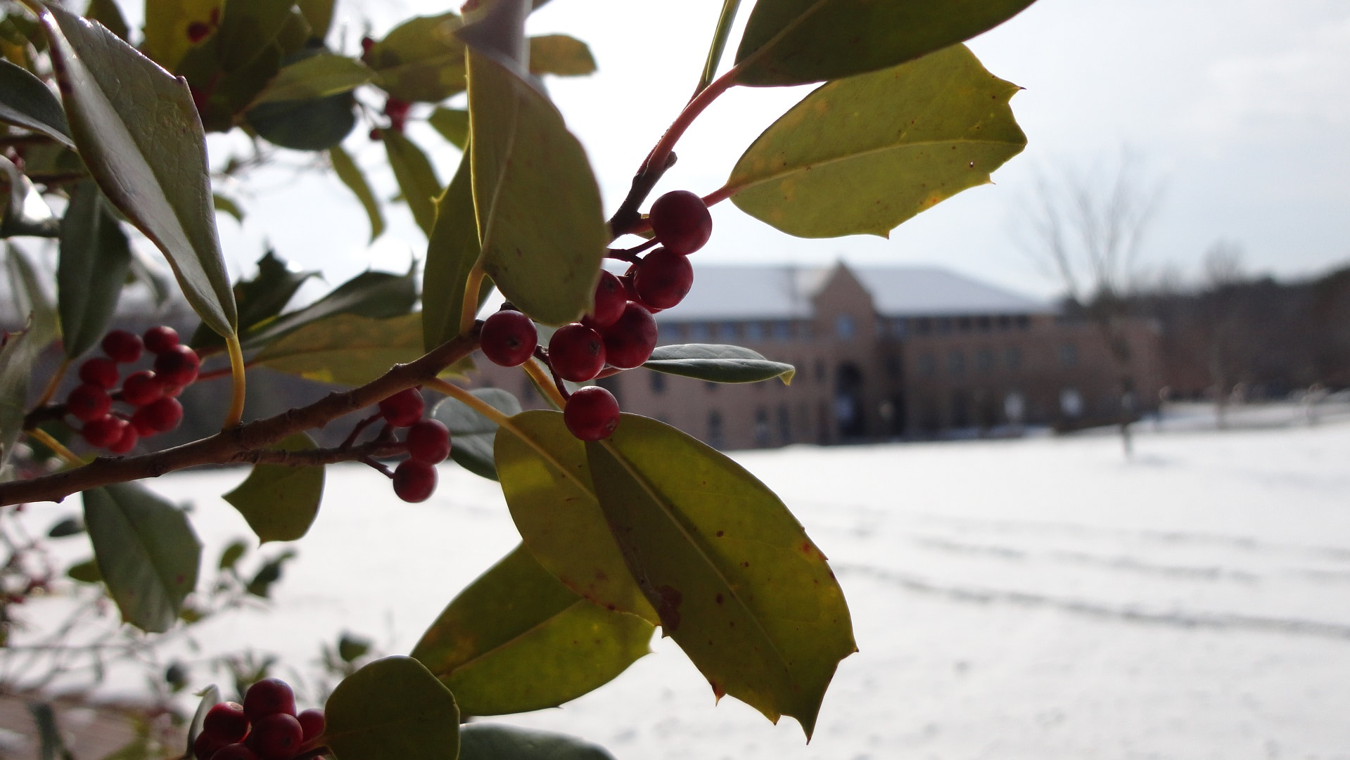 School of Education Building in Winter