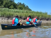 Students set out to conduct field research
