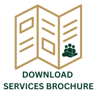 service-brochure-icon-1.png