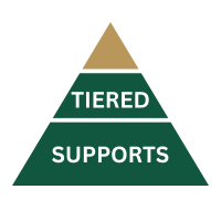 tiered-icon-200-x-200-px.png
