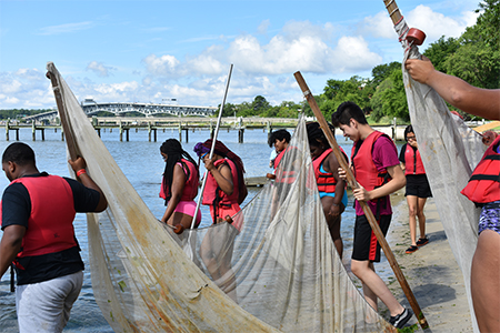 Camp Launch participants in 2019 sample marine life using seine nets at the Chesapeake Bay National Estuarine Research Reserve facility on the Virginia Institute of Marine Science campus at Gloucester Point. 
