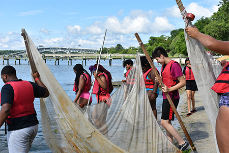 Camp Launch participants in 2019 sample marine life using seine nets at the Chesapeake Bay National Estuarine Research Reserve facility on the Virginia Institute of Marine Science campus at Gloucester Point.