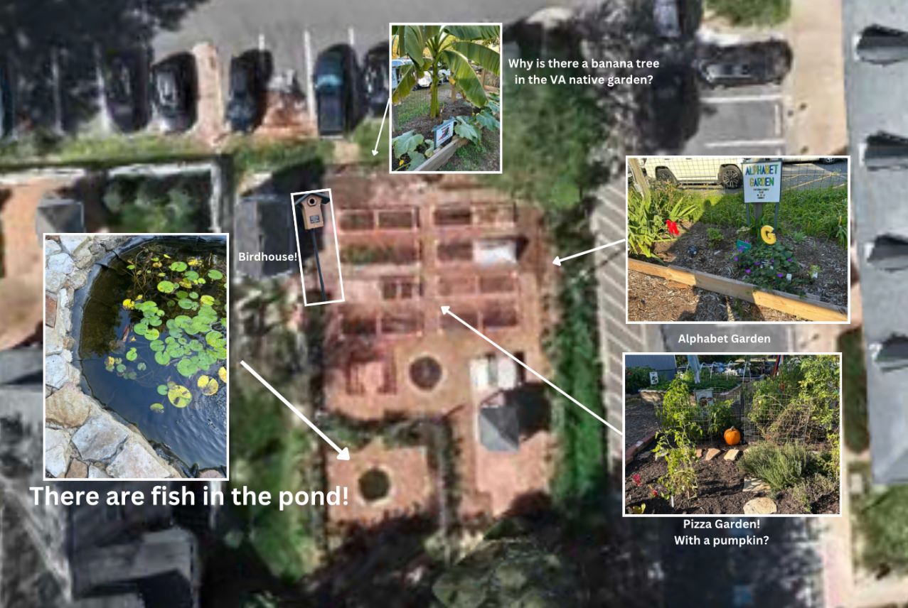 Evelyn Poole ’24, M.A.Ed. ’25, created this map of the school garden at Matthew Whaley Elementary by combining a Google Map view with her observations walking the grounds. Her project focused on plant/animal, geological and nation-state timescales.