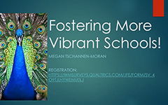 Fostering More Vibrant Schools